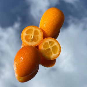 Kumquat Box