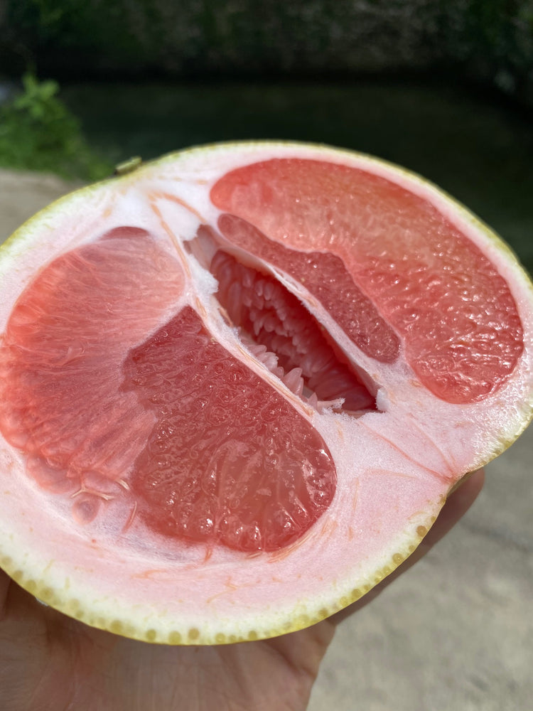 Grapefruit: Benefits, facts, and research