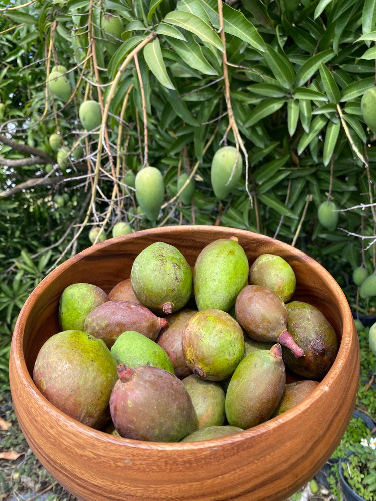 Mango Buy Mango online Fruit