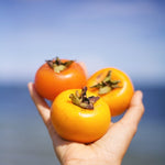 Tropical Persimmon