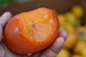
            
                Load image into Gallery viewer, Tropical Persimmon Box *Pre-Order*
            
        
