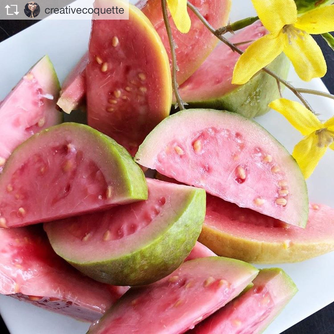 Pink Guava – Miami Fruit
