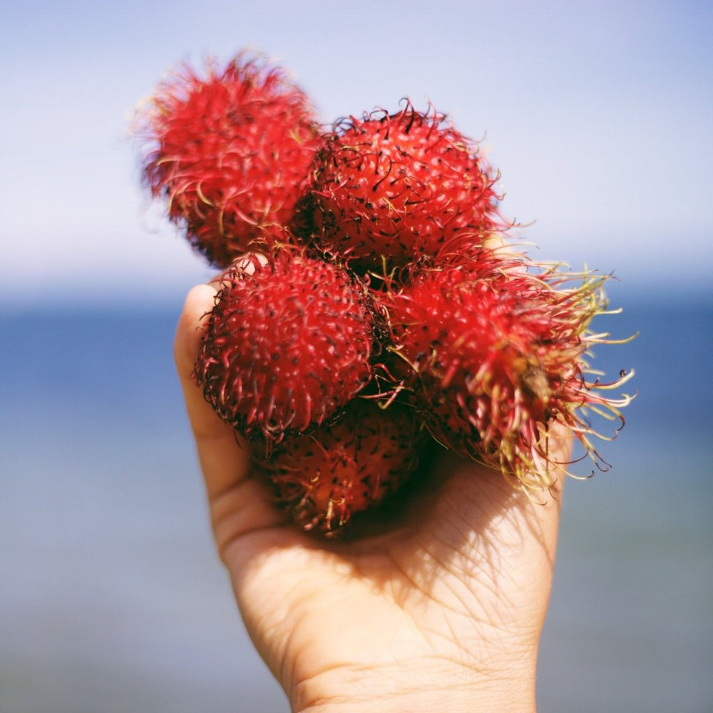Rambutan Fruit