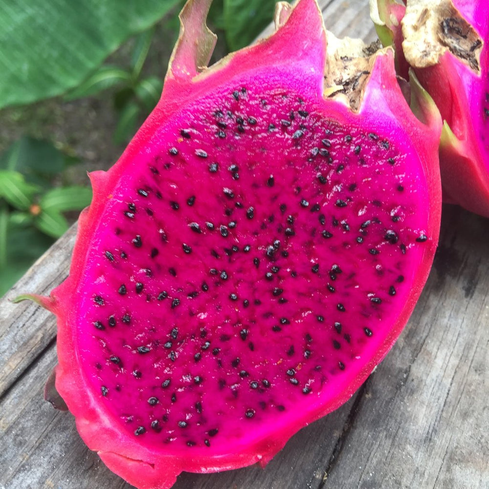 Red Dragonfruit (Pitaya) Box