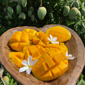 Two Types of Mixed Mango Bloom 