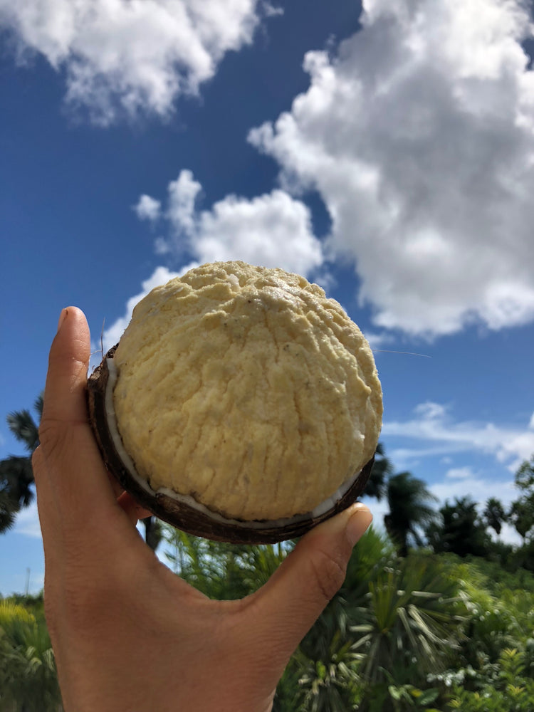 Sprouted Coconut Box *Pre-Order*
