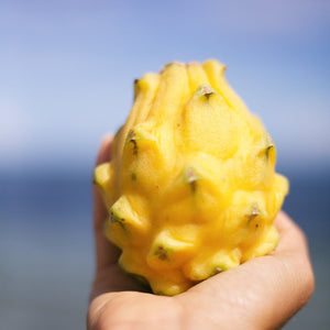 
            
                Load image into Gallery viewer, Yellow Dragonfruit (Pitaya) Box
            
        