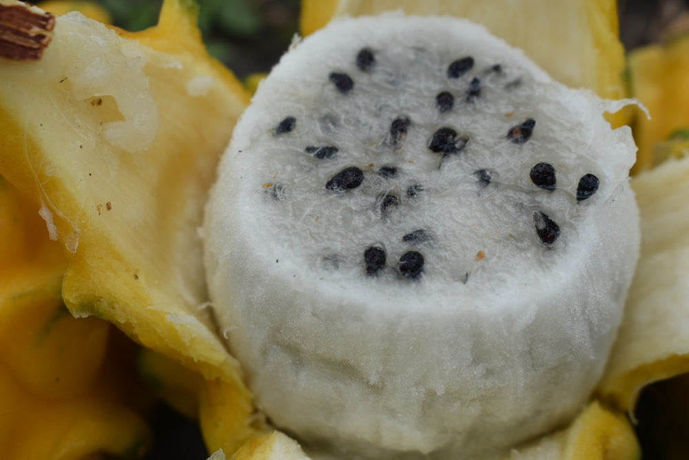 
            
                Load image into Gallery viewer, Yellow Dragonfruit (Pitaya) Box
            
        