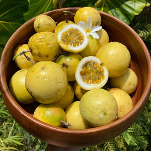 
            
                Load image into Gallery viewer, Golden Passionfruit (Lilikoi) Box *Pre-Order*
            
        